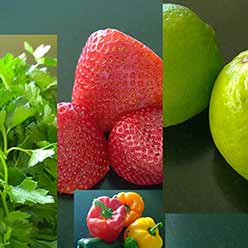 A photo of the dudes